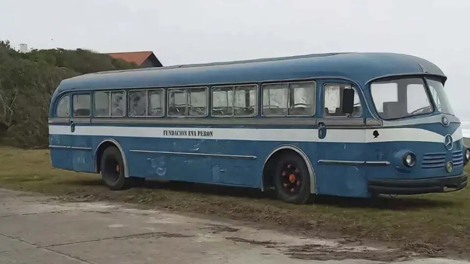 Chanchita recuperada