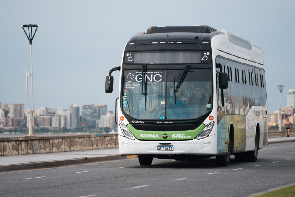 Scania-probó-en-Mar-del-Plata
