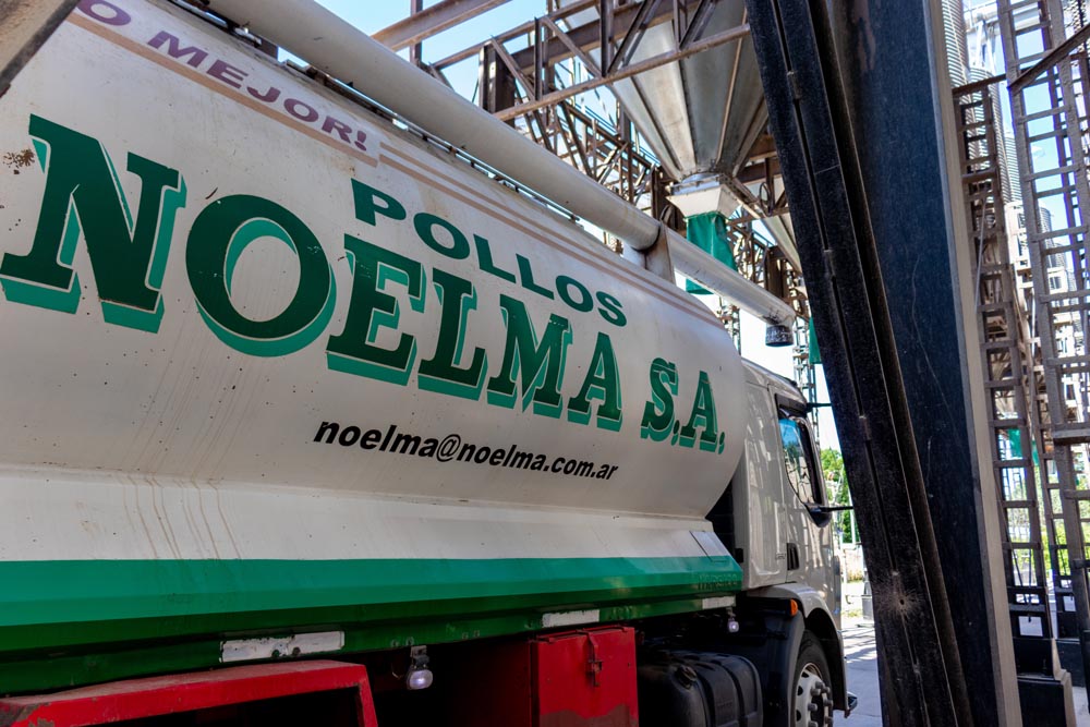 Noelma-busca-choferes-profesionales