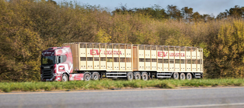 https://autotransporte.com.ar/borrador-automatico/