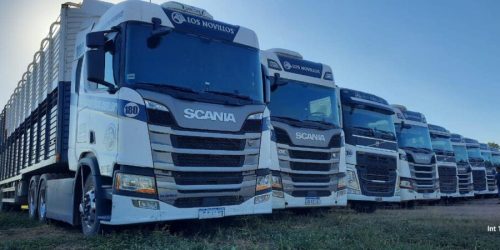 Transporte-Los-Novillos-busca-choferes