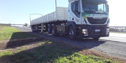 Domingo-Bisio-eligió-IVECO