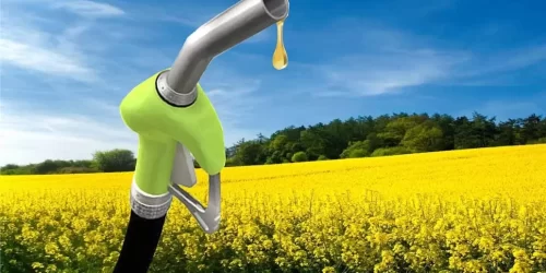 Más biodiesel en el gasoil