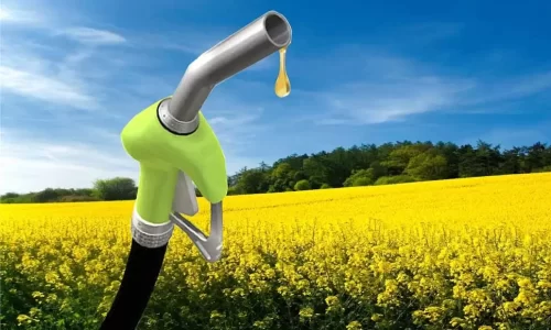 Más biodiesel en el gasoil