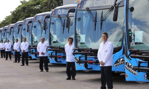 Buses-argentinos-rodando-en-México