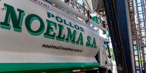 Noelma-busca-choferes-profesionales